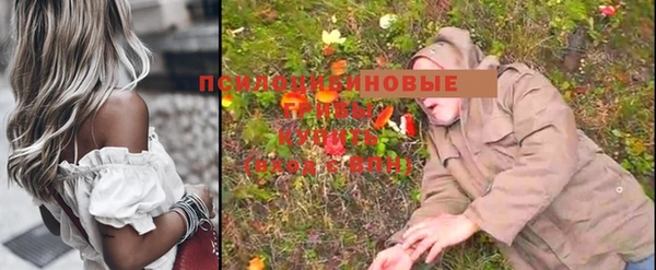 гашиш Белокуриха